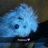 john_harm - @john_harm - TikTok
