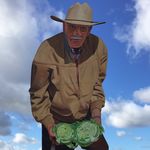 John Haroldson - @zwazzyswolleggroll - Instagram