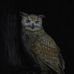 John Harris - Facebook