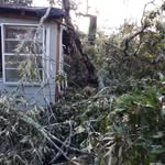 John Harrell - @john.harrell.77312477 - Instagram