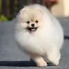 john harrell - @john.harrell3 - TikTok