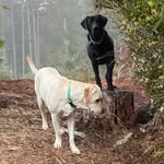 @johnharrell__ - Instagram