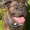 John Harriman - @john.harriman5 - TikTok