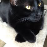 John Harriman - @john.harriman1 - Instagram