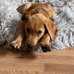 John Harriman - @john.h.26 - Instagram
