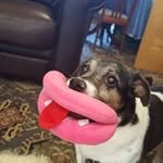 John Harrold - @harroldjohn - Instagram