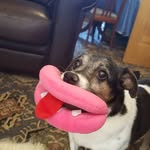 John Harrold - @jrhhomeimprovements37 - Instagram