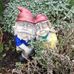 John Harrower - Facebook