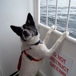 John Harrower - @jwharrower - Instagram