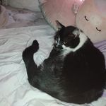 Johnson-Harstad Shy - @johnsonharstad - Instagram