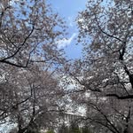 @johnh_artington - Instagram