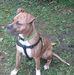 John Hartlaub - Facebook