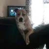 John Hartlen - @john.hartlen - TikTok