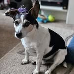 John Hartley - @john.hartley2 - Instagram