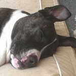 John Hartless - @hartlessj01 - Instagram