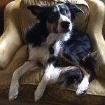 John Hartman - @john_hartman_takes_pictures - Instagram