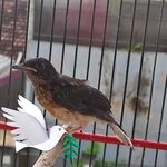 Hartono John - @hartono.john.90 - Instagram