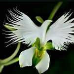 John Haryanto - @john.haryanto.169 - Instagram