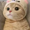 johnhaston929 - @johnhaston929 - TikTok
