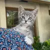 john.hatch - @john.hatch - TikTok