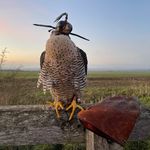 John Hatchett - @johnhatchett_ - Instagram
