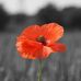 John Hatchett - Facebook
