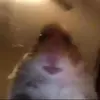 user4890424928070 - @johnhateme - TikTok