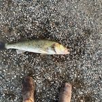 John Hauff - @john_haufffffffff - Instagram
