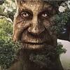JonHauler - @jonhauler - TikTok