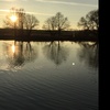 Jan Havelka  - @johnnys169 - TikTok