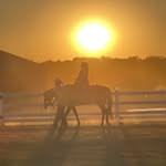 John Hawryluk - @johnhawryluk - Instagram
