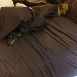 Father Huggy Bear - @hazelgrovejohn - Instagram