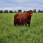John Headland - @johnheadland - Instagram