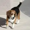 John Healey - @john.healey2 - TikTok