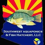 john healy - @swaquaponics - Instagram