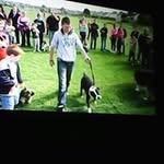 John Healy - @healy4091 - Instagram
