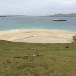 John Hearty - @johnnhearty - Instagram