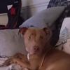 mark Foley - @john.hearty1 - TikTok