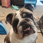 John Heavrin - @john.heavrin - Instagram