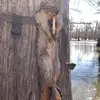 John._.Hebert - @john._.hebert - TikTok