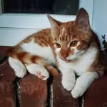 John-Luca - @john.heckert - Instagram