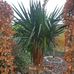 John Heeren - Facebook