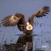 John Heeter - Facebook
