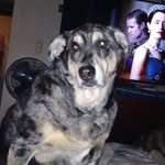 John Heeter - @jheeter117927 - Instagram