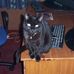 John Heggie - Facebook