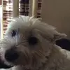 johnheggie - @johnheggie - TikTok