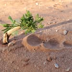 John Heide - @yomerowcs - Instagram