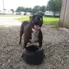 Jon Heideman - @jon.heideman - TikTok