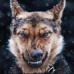 John Helms - @john_helms1 - Instagram