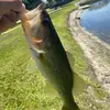 John Helms - @johnhelms8 - TikTok